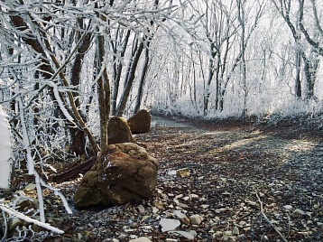 Зимняя сказка