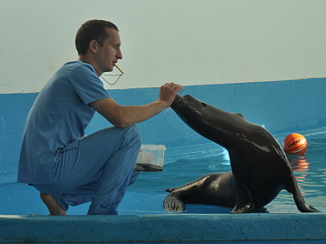 Видео из Сафари-Парка